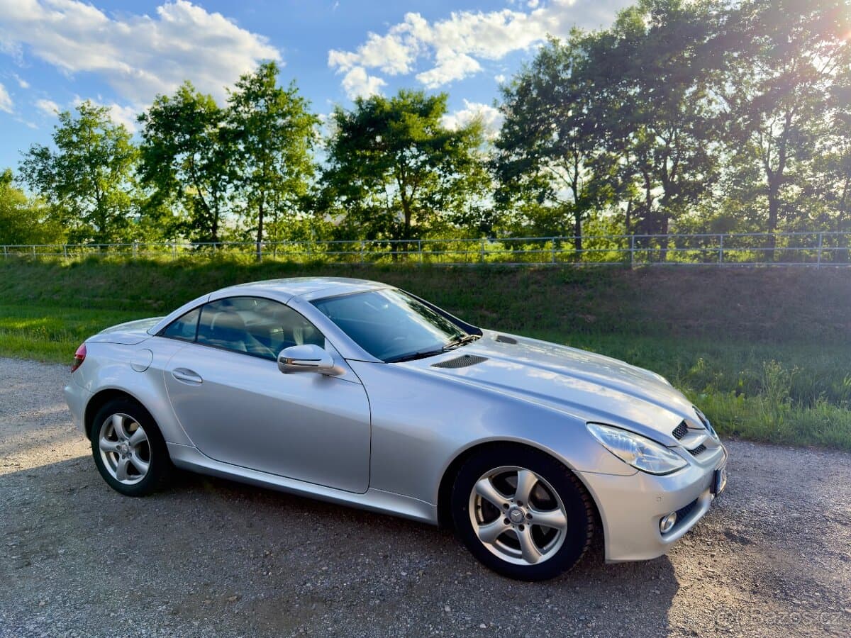 2010 Mercedes-Benz OSTATNÍ - 15