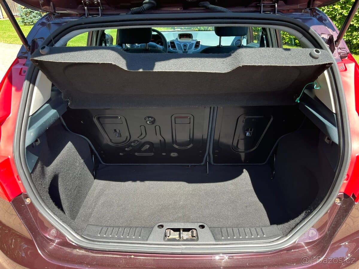 2010 Ford FIESTA - 15