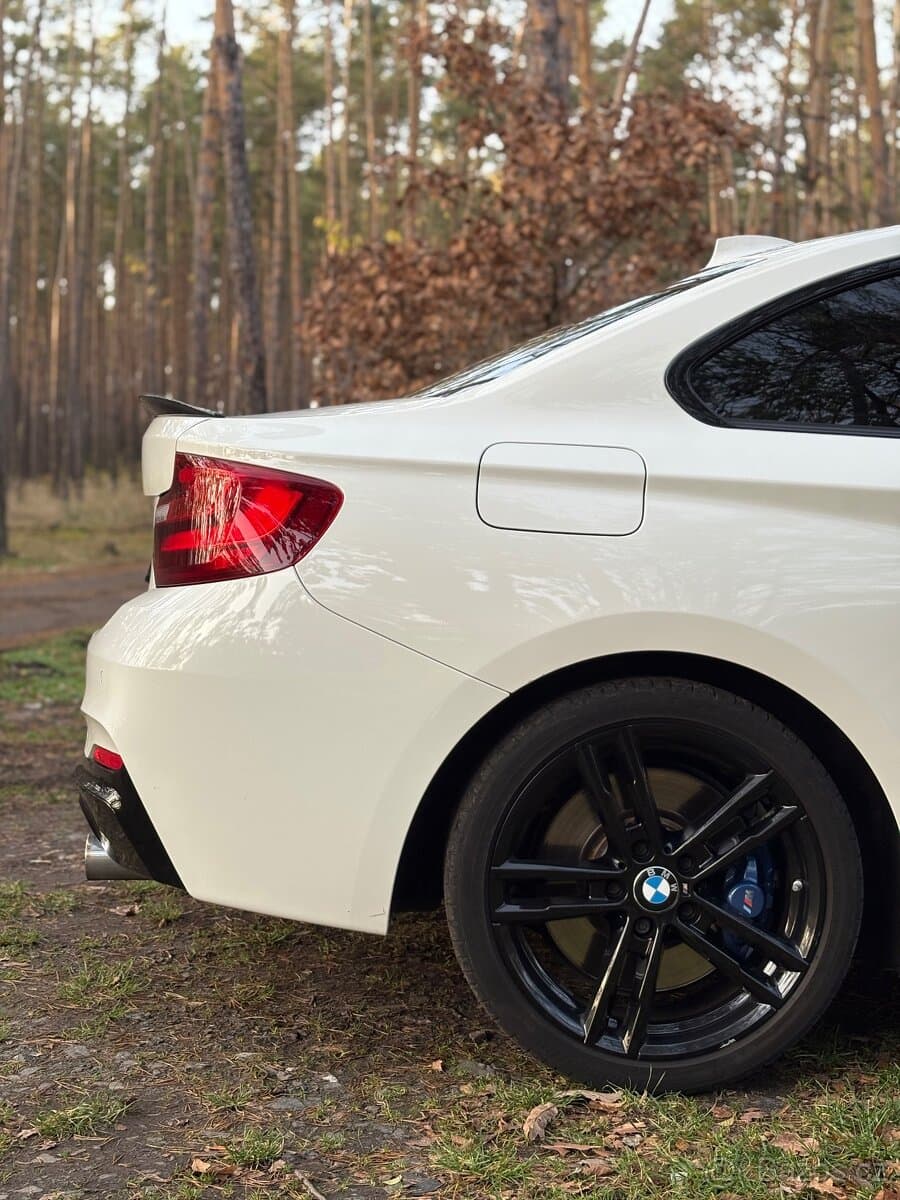 2014 BMW M2 - 15