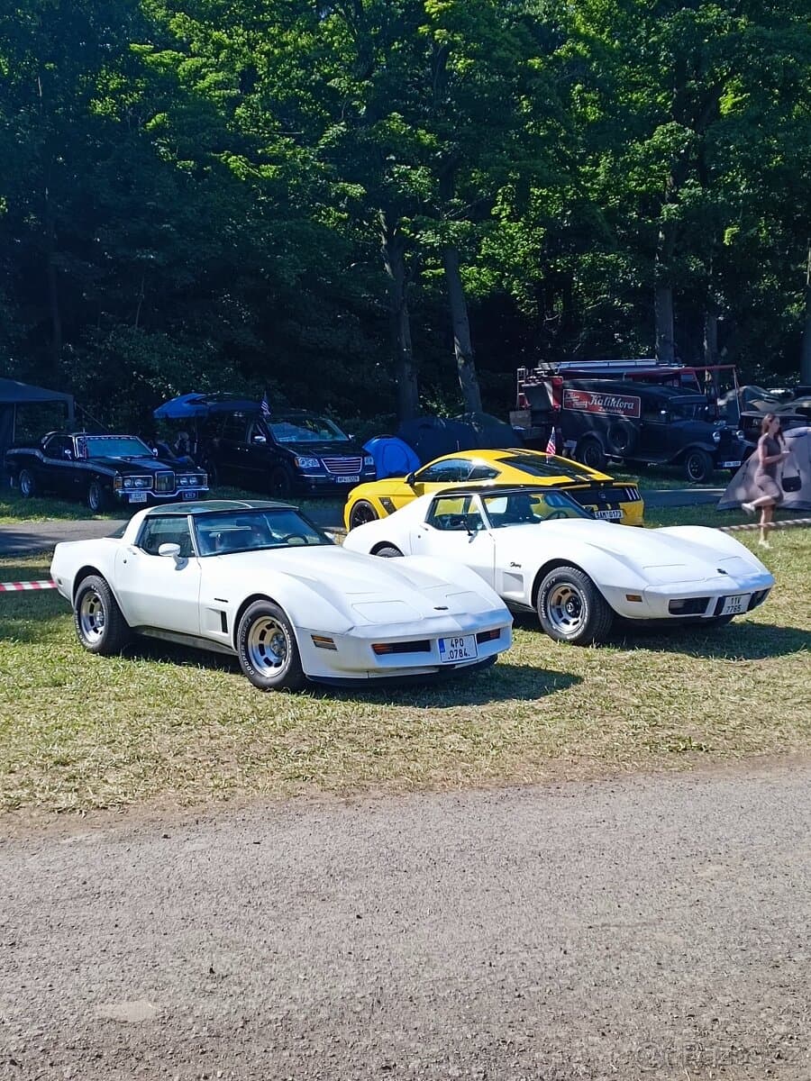 1982 Chevrolet CORVETTE - 16