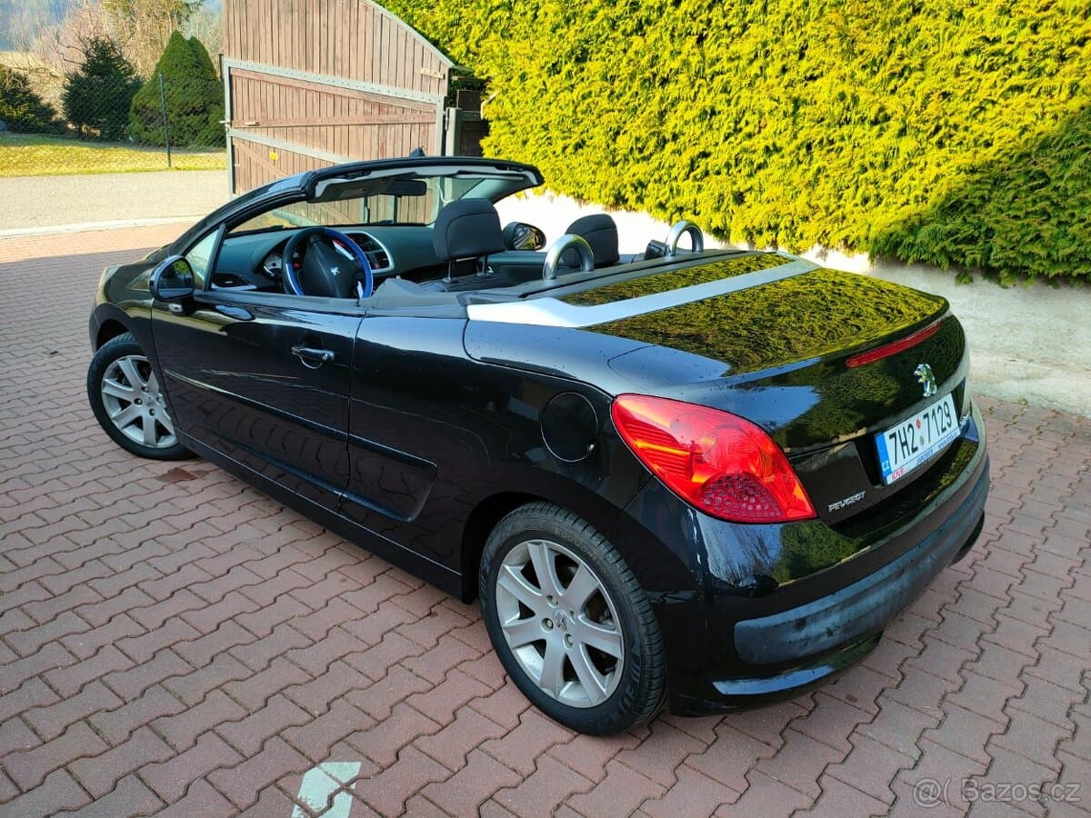 2009 Peugeot 207 - 17