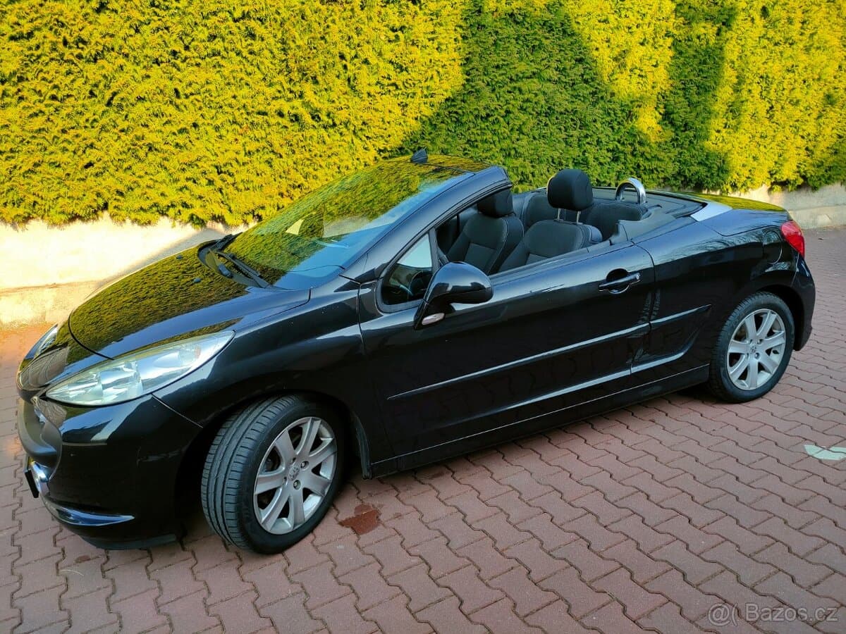 2009 Peugeot 207 - 18