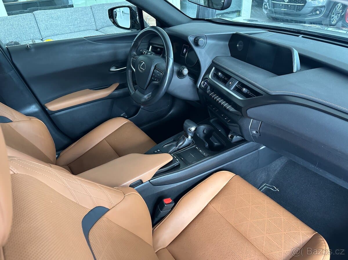 2019 Lexus UX - 18