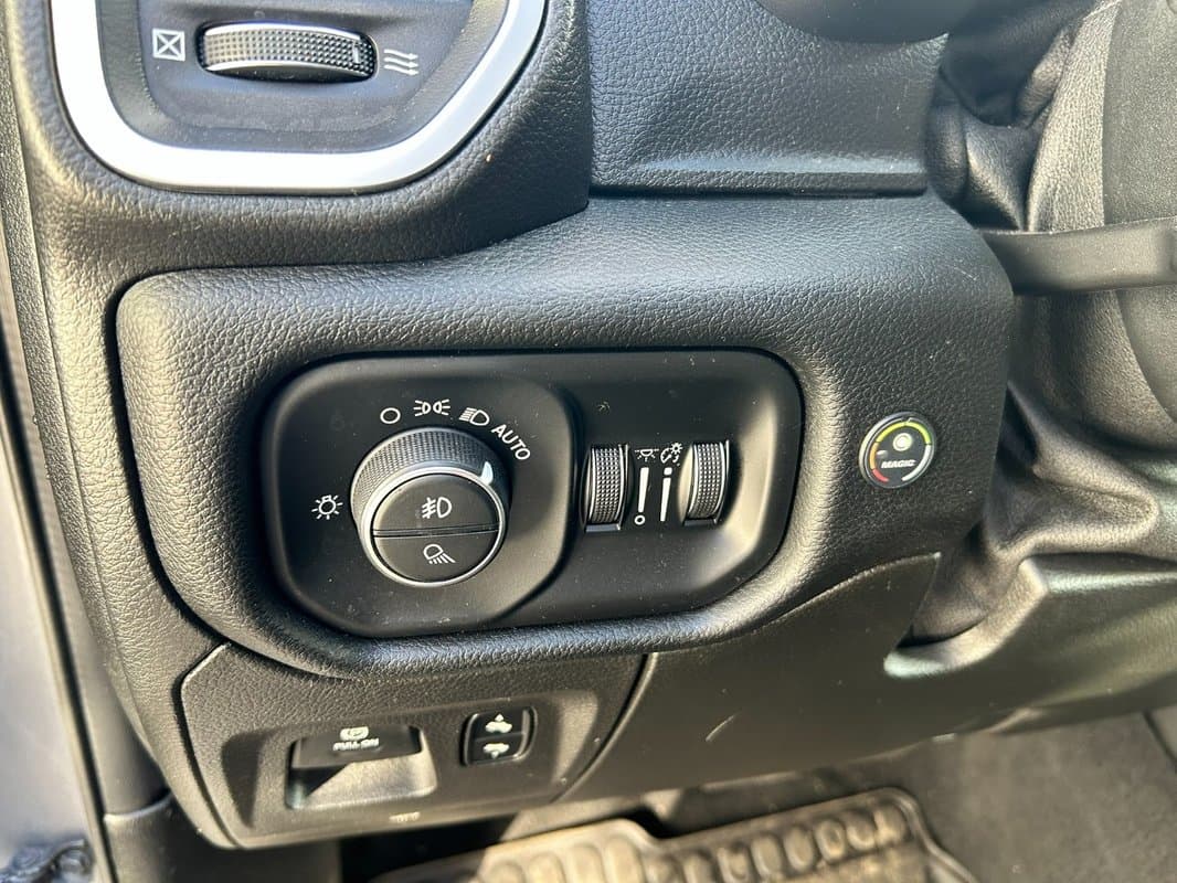 2019 Dodge OSTATNÍ - 18