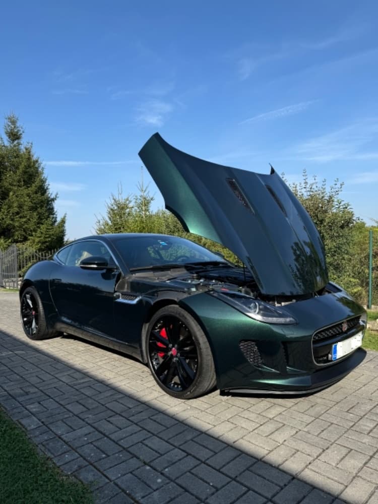 2014 Jaguar F-TYPE - 18