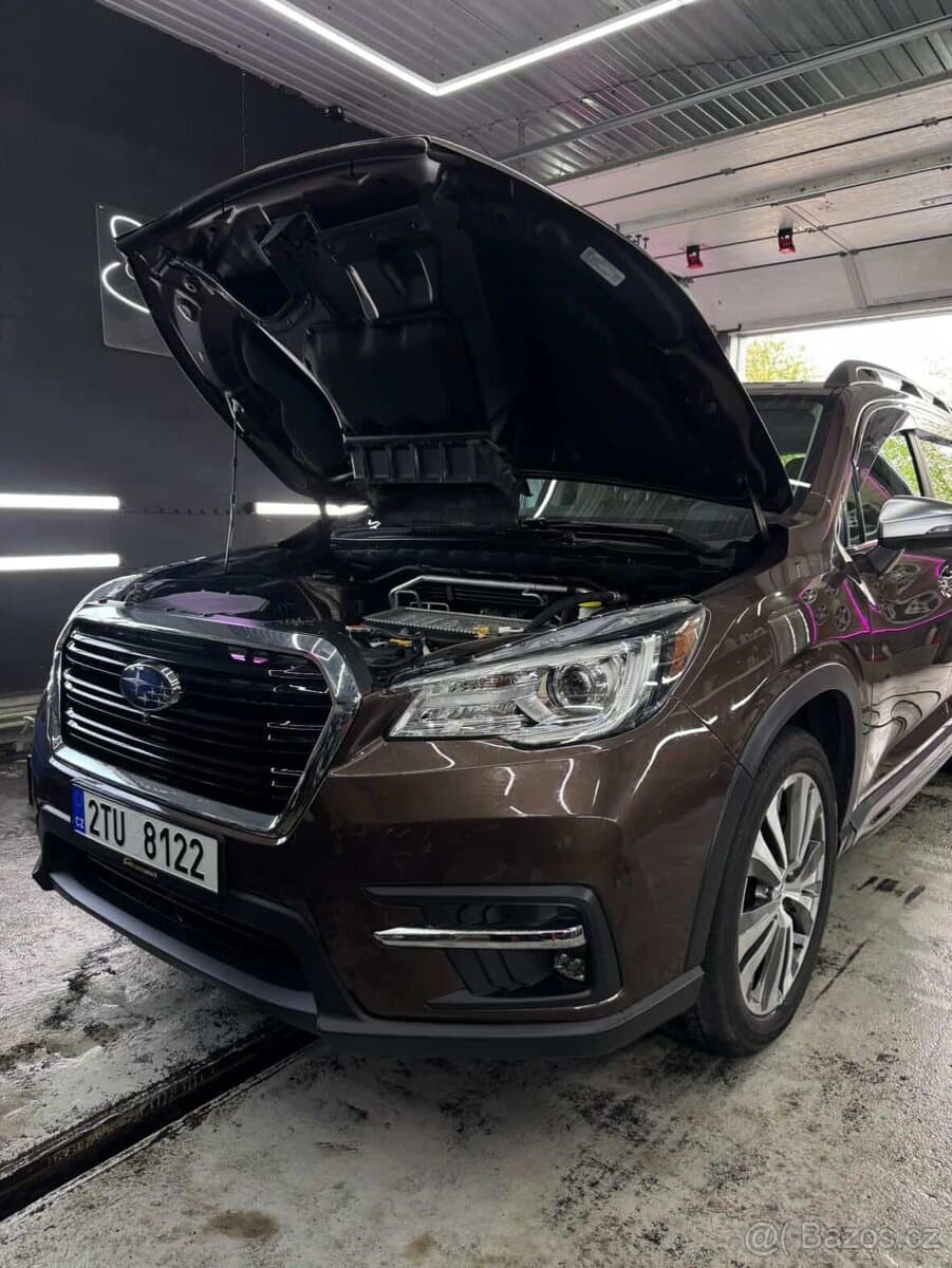 2019 Subaru OSTATNÍ - 18