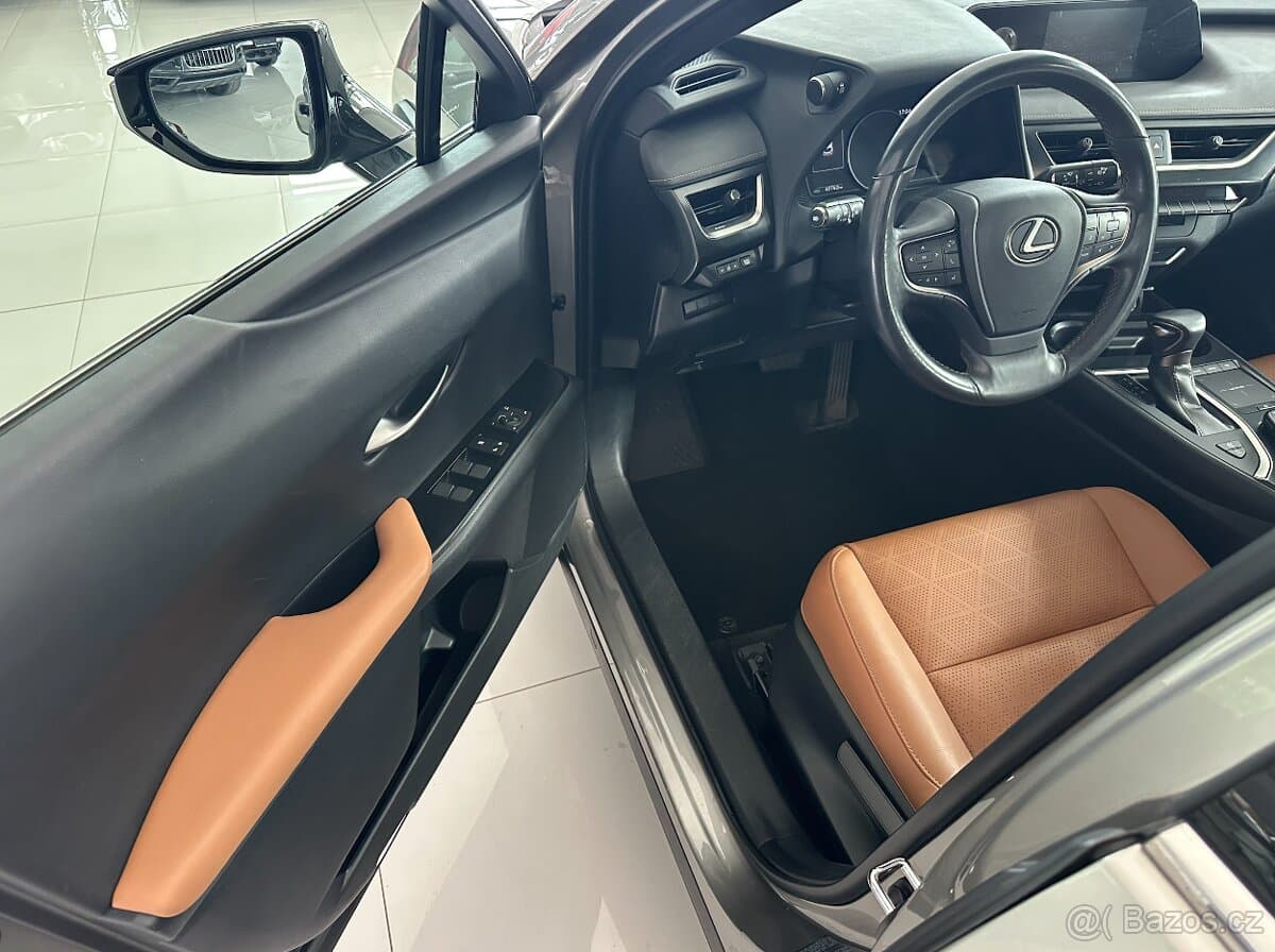 2019 Lexus UX - 19
