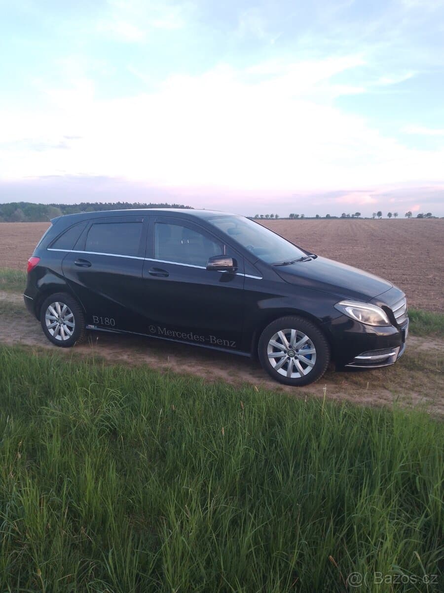 2014 Mercedes-Benz OSTATNÍ - 19