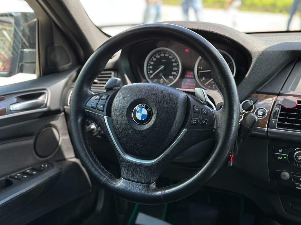 2010 BMW X6 - 19