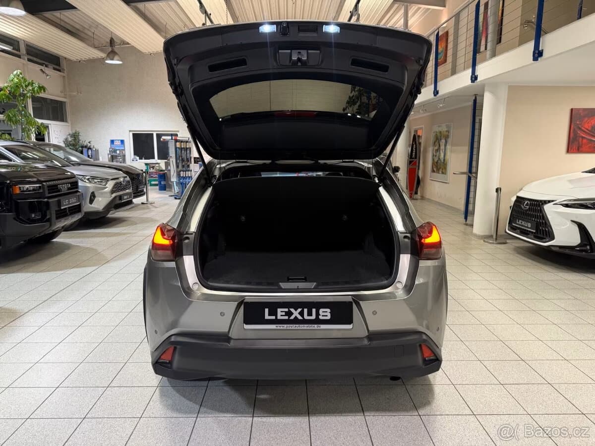 2022 Lexus OSTATNÍ - 19