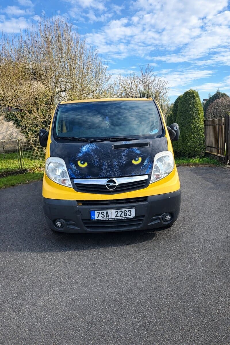 2010 Opel VIVARO - 2