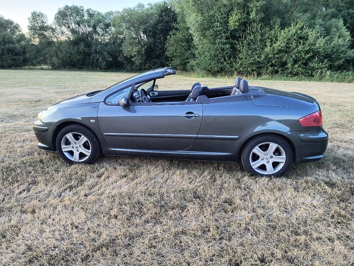 Peugeot 307 - 2