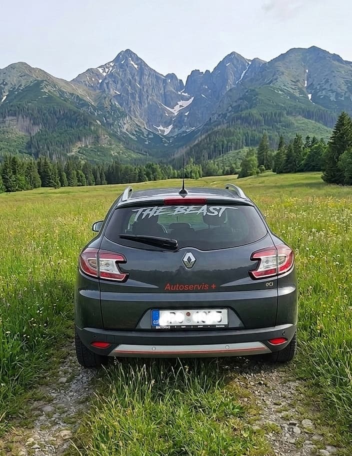 2012 Renault MEGANE - 2