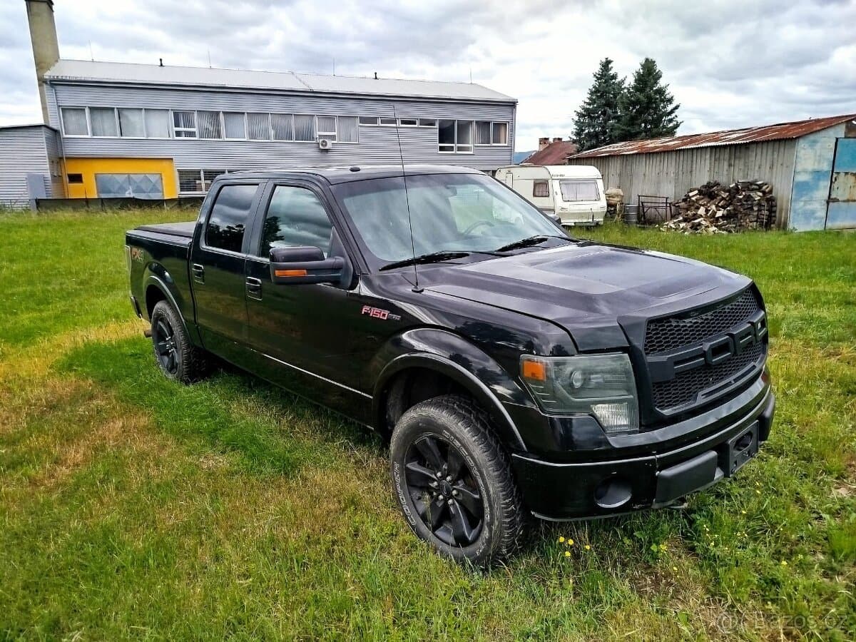 2013 Ford OSTATNÍ - 2