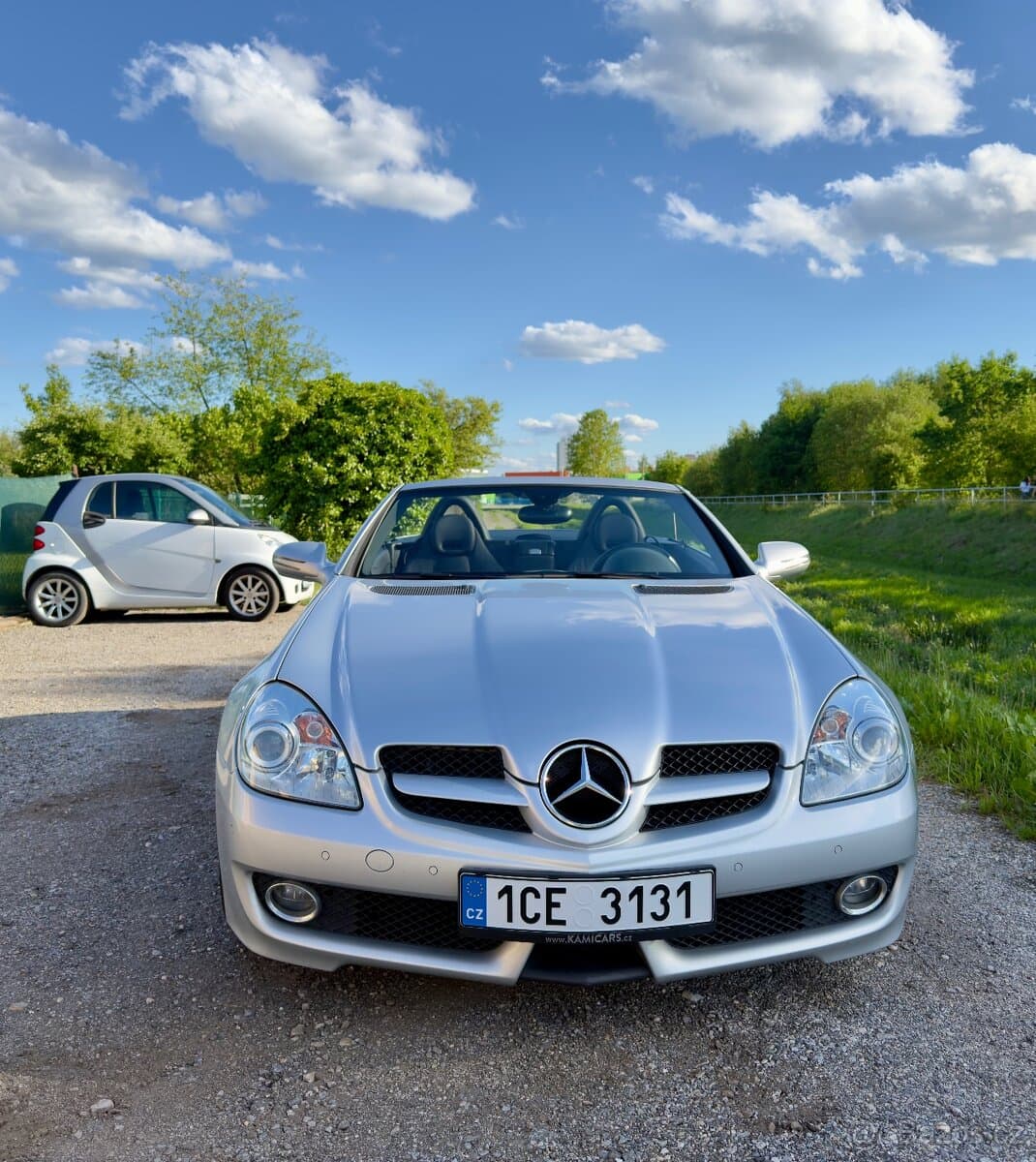 2010 Mercedes-Benz OSTATNÍ - 2