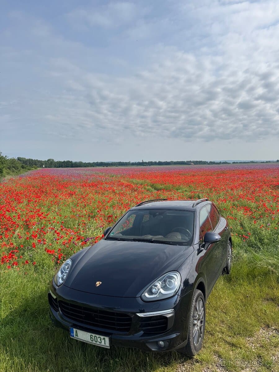 2014 Porsche CAYENNE - 2