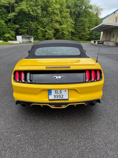Ford MUSTANG - 2