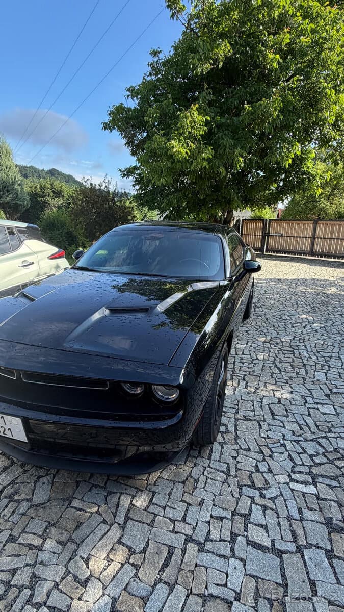 2019 Dodge CHALLENGER - 2