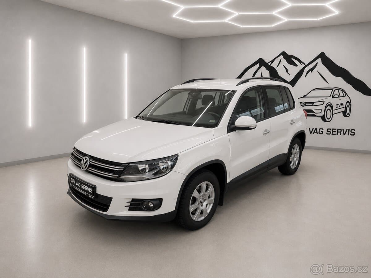 2013 Volkswagen TIGUAN - 2