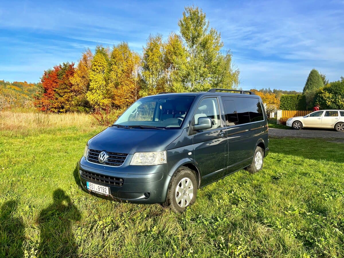 2007 Volkswagen CARAVELLE - 2
