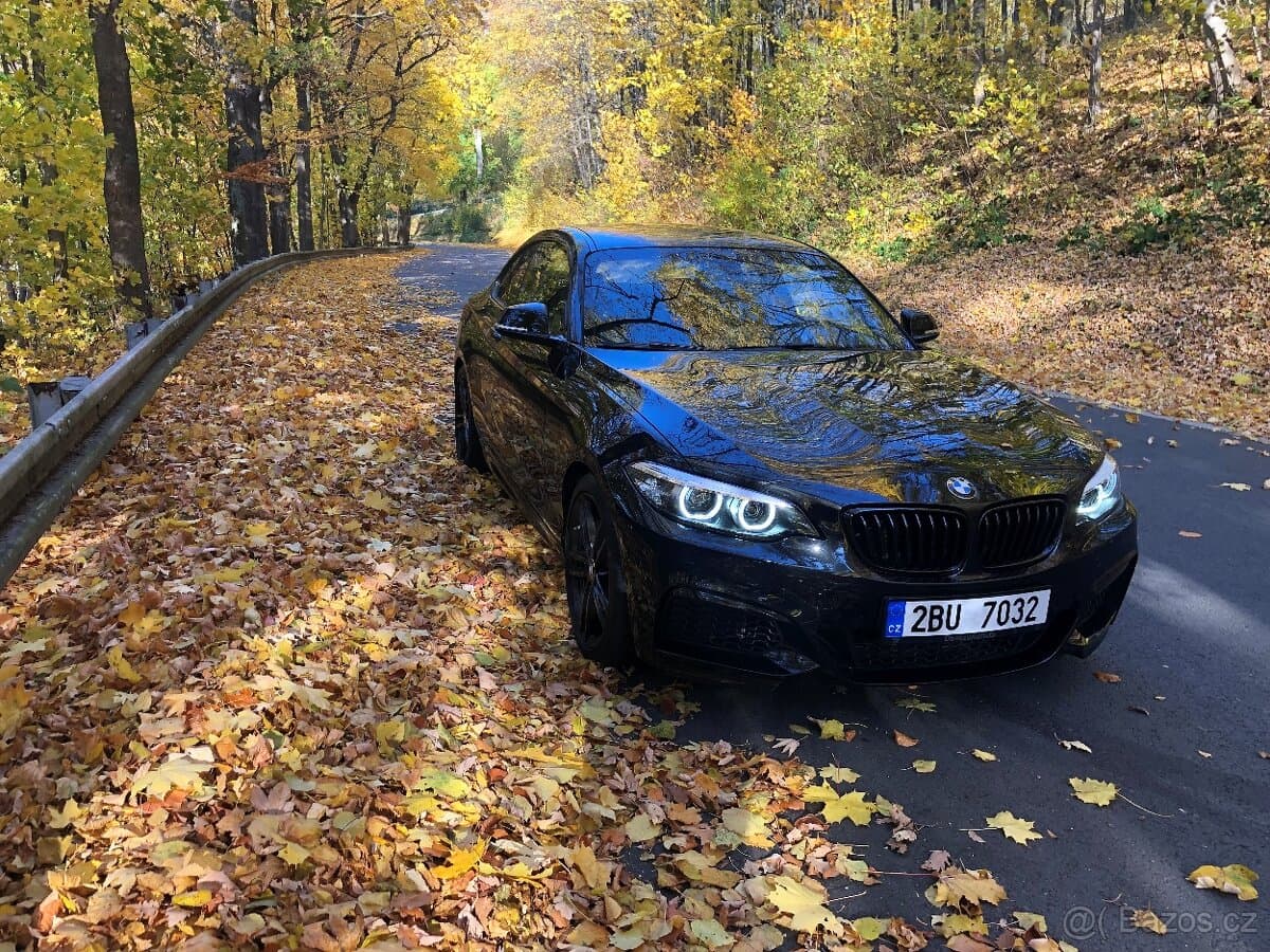 2019 BMW M2 - 2