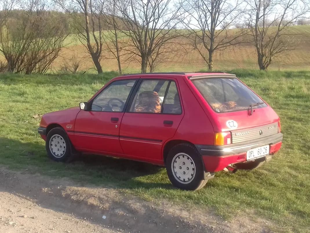 Peugeot 205 - 2