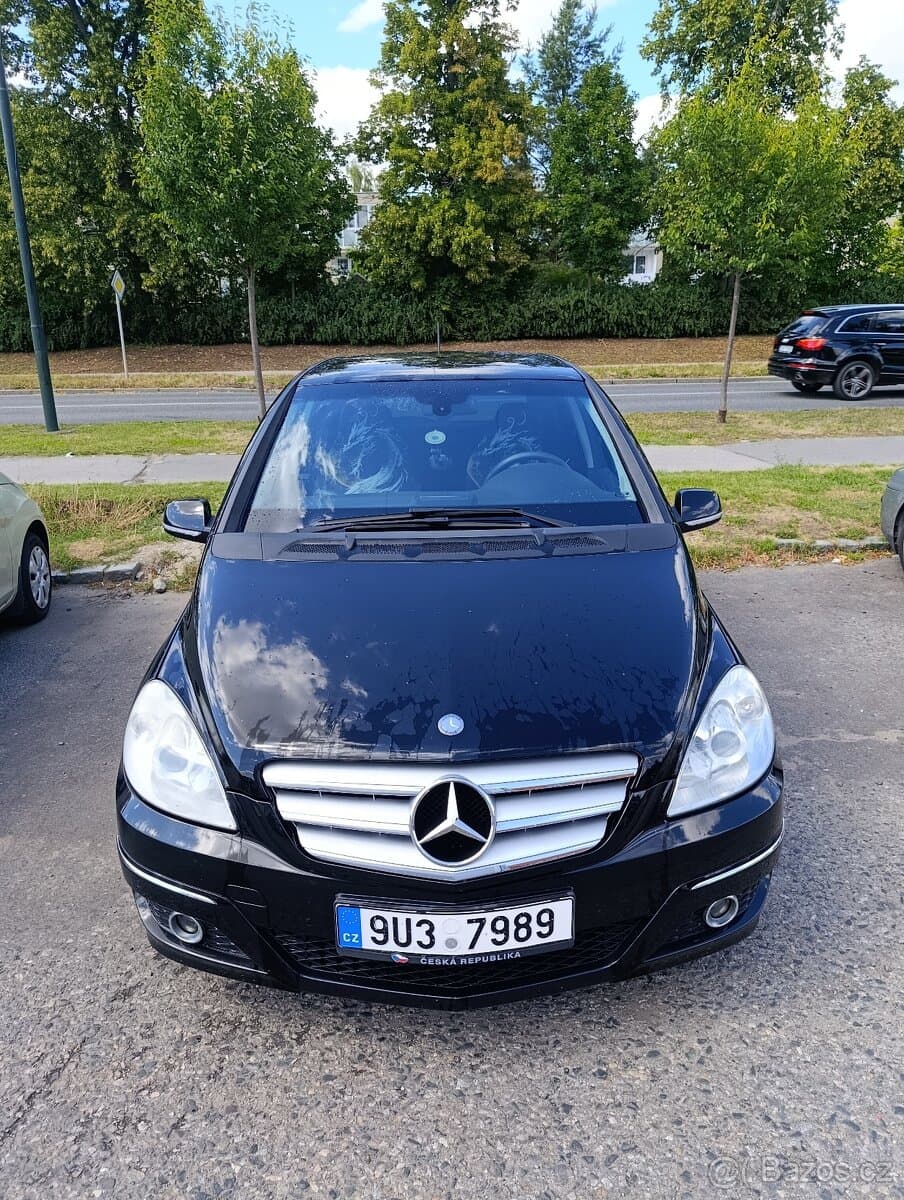 2010 Mercedes-Benz B-CLASS - 2