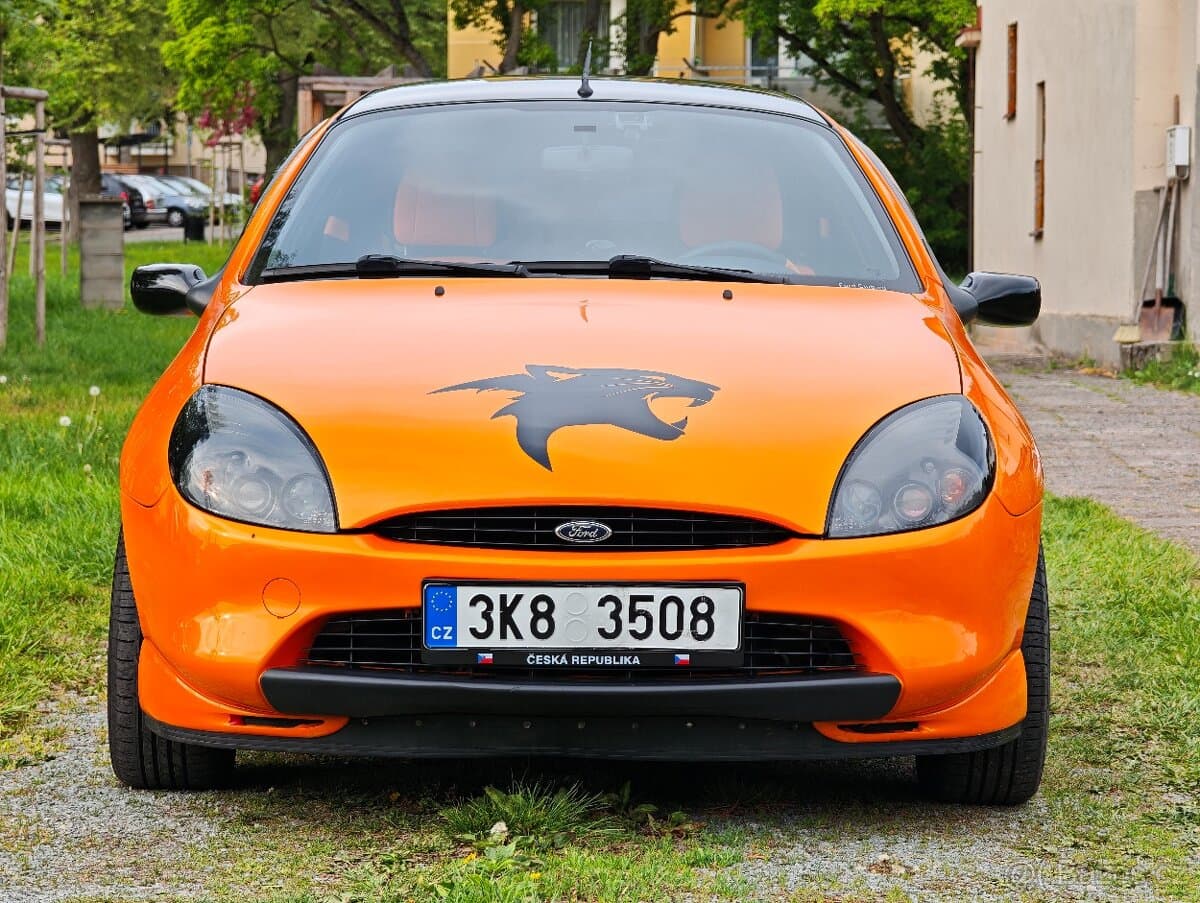 1997 Ford PUMA - 2