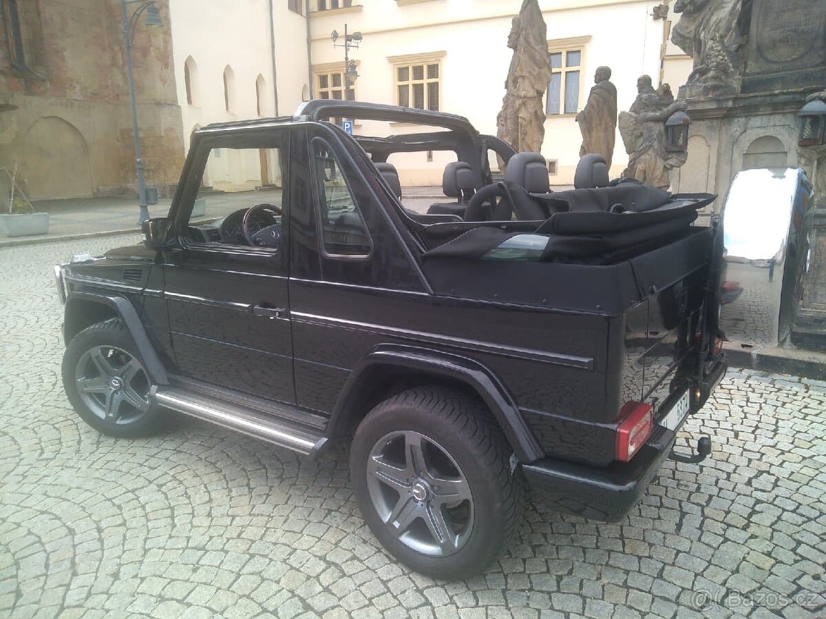 2010 Mercedes-Benz OSTATNÍ - 2