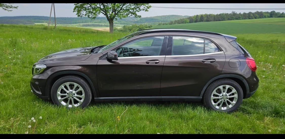 2014 Mercedes-Benz OSTATNÍ - 2