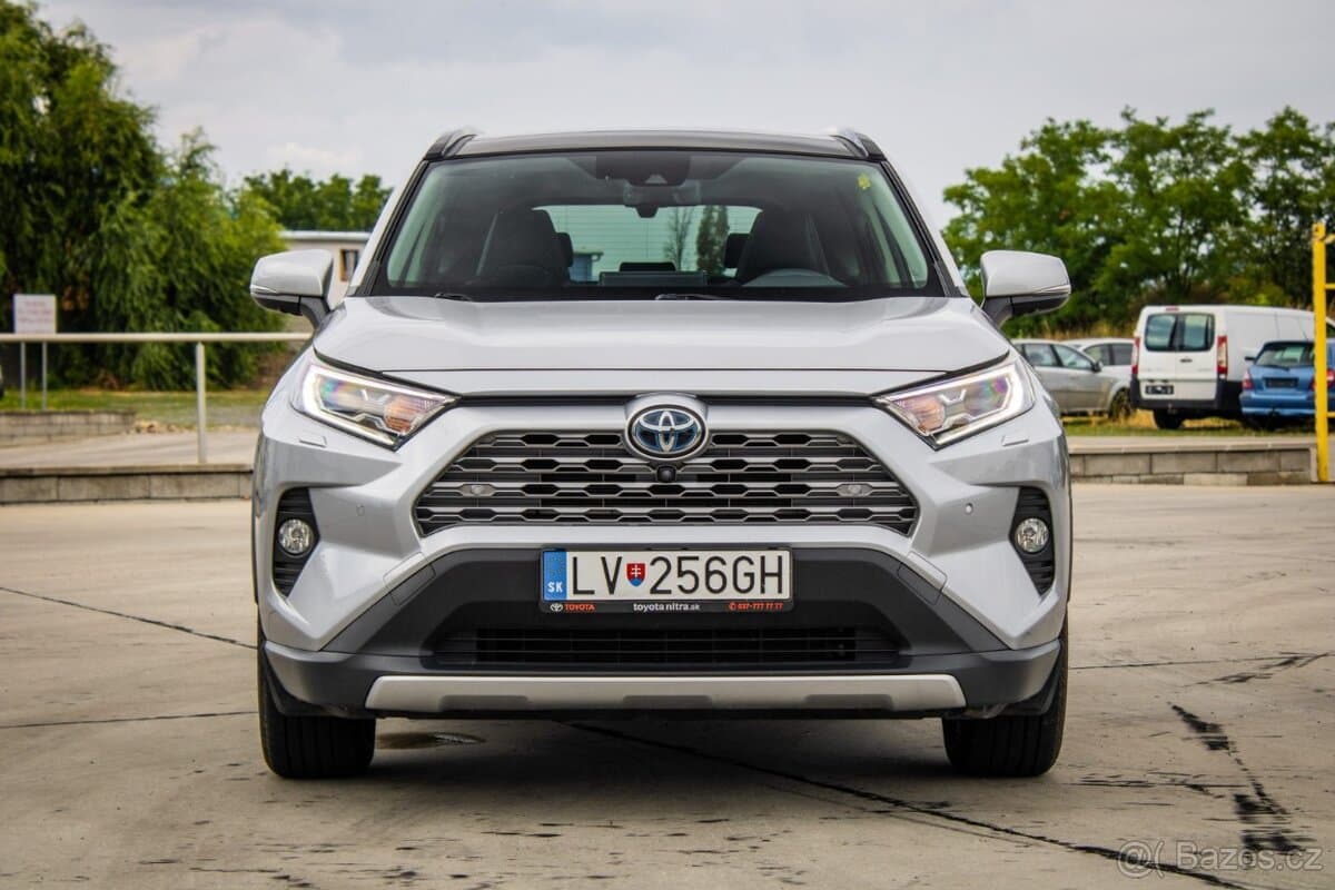 2019 Toyota RAV4 - 2