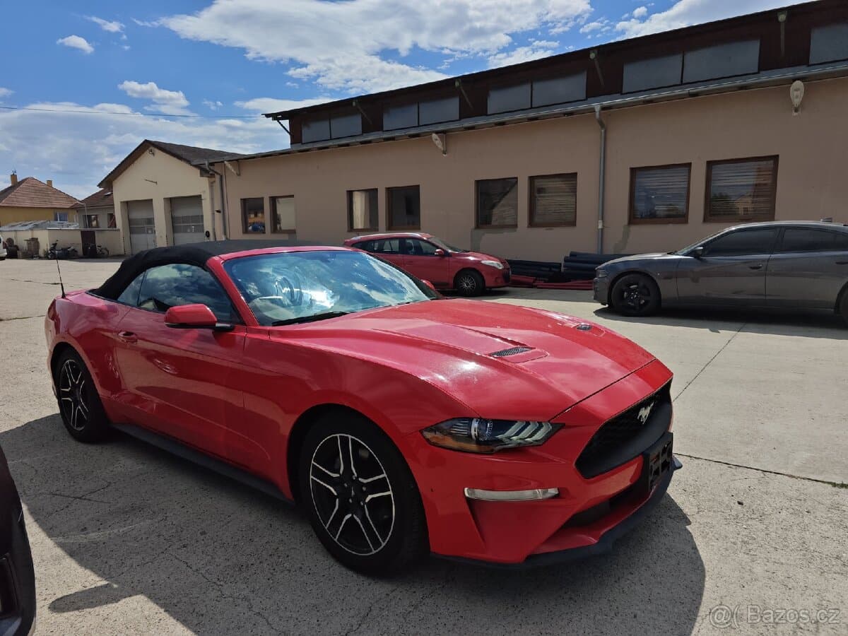 2019 Ford MUSTANG - 2