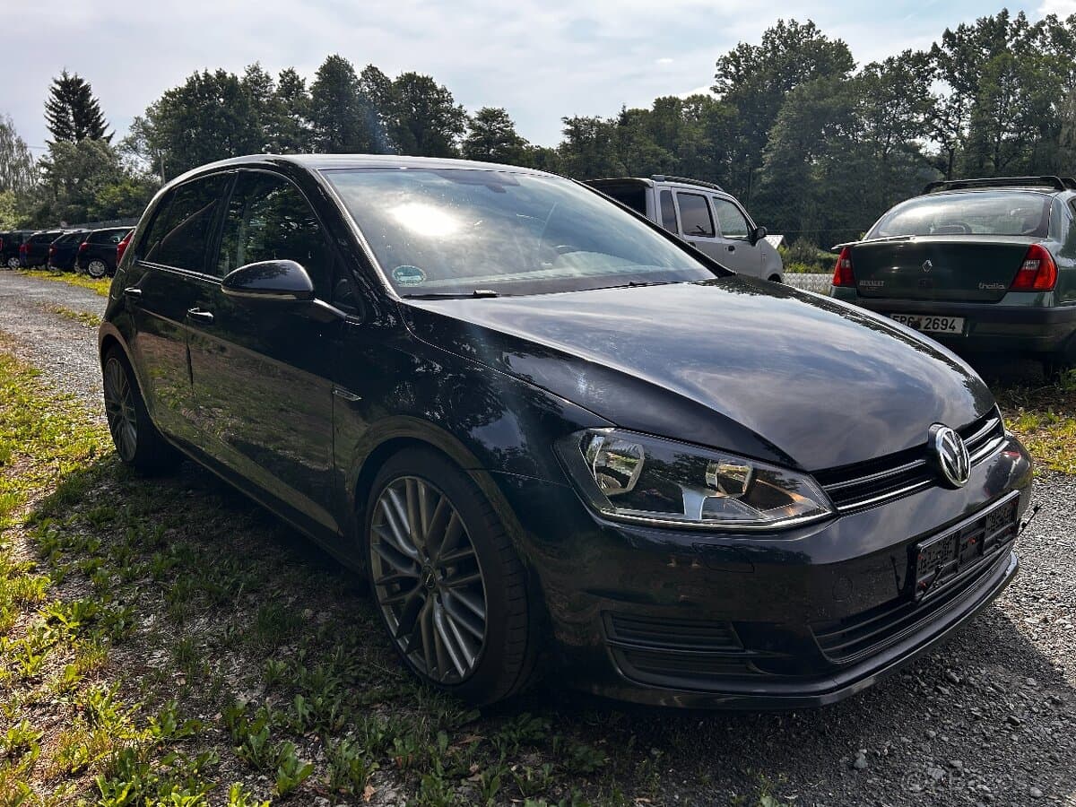 2013 Volkswagen GOLF - 2
