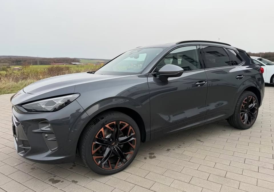 Cupra TERRAMAR - 2