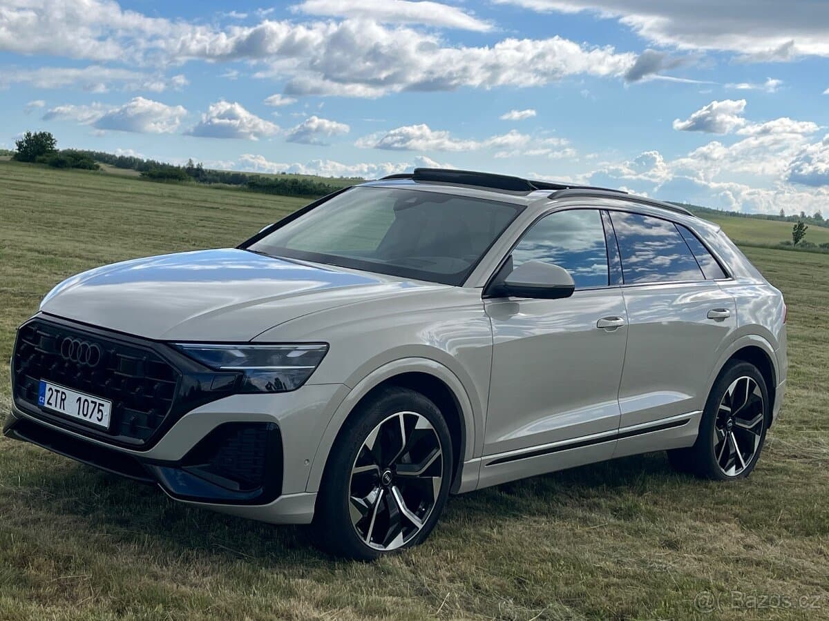 2025 Audi Q8 - 2