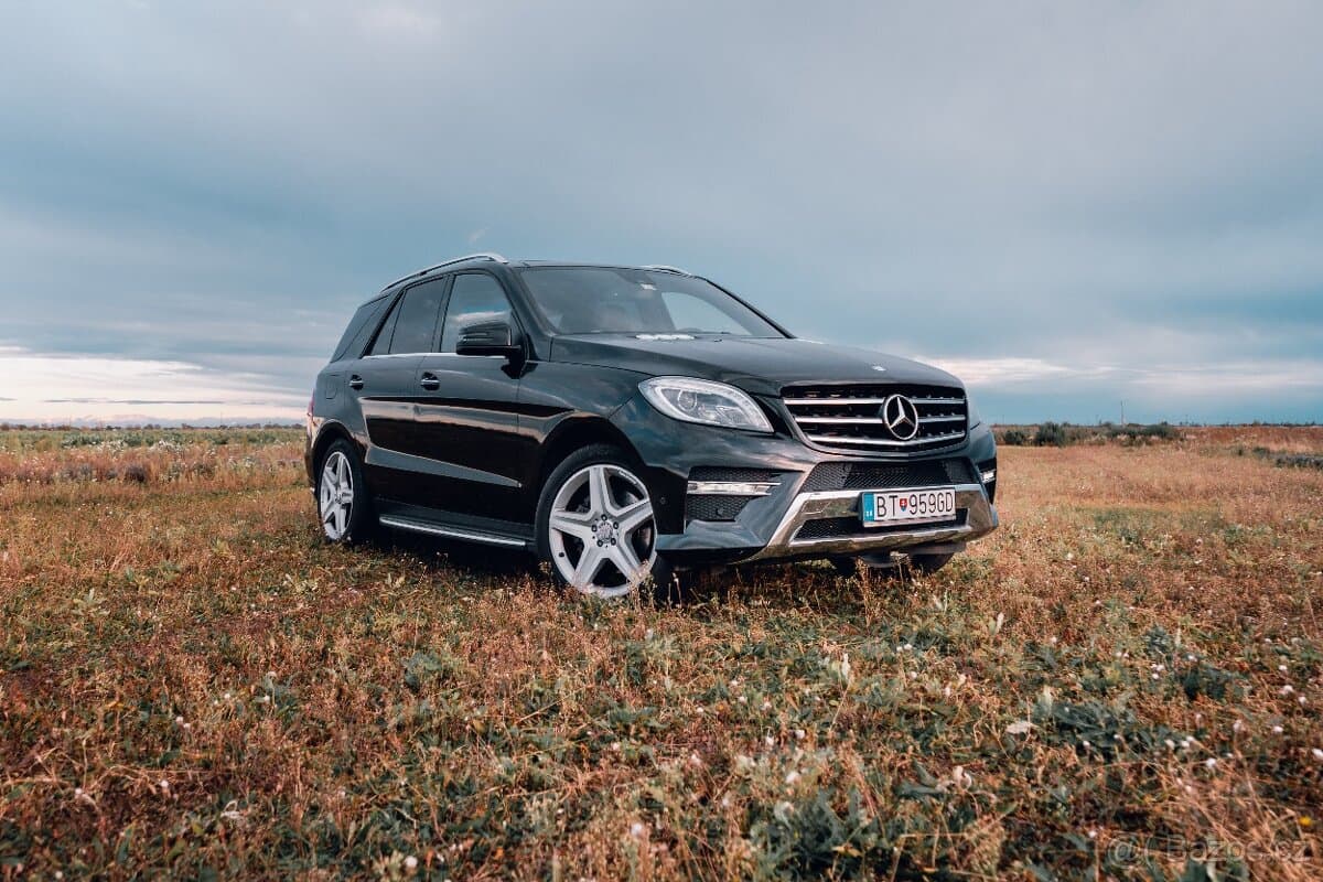 2014 Mercedes-Benz M-CLASS - 2