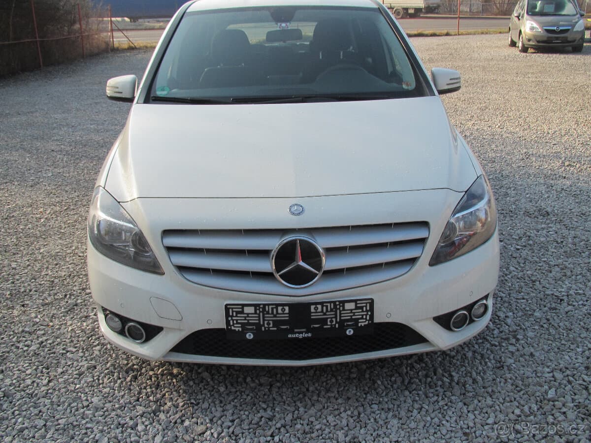 2013 Mercedes-Benz OSTATNÍ - 2