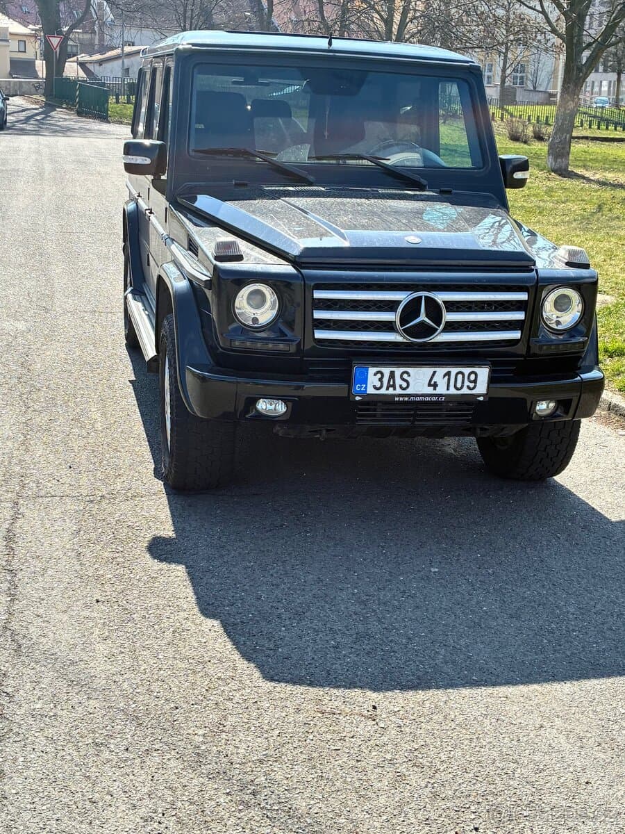 2011 Mercedes-Benz OSTATNÍ - 2
