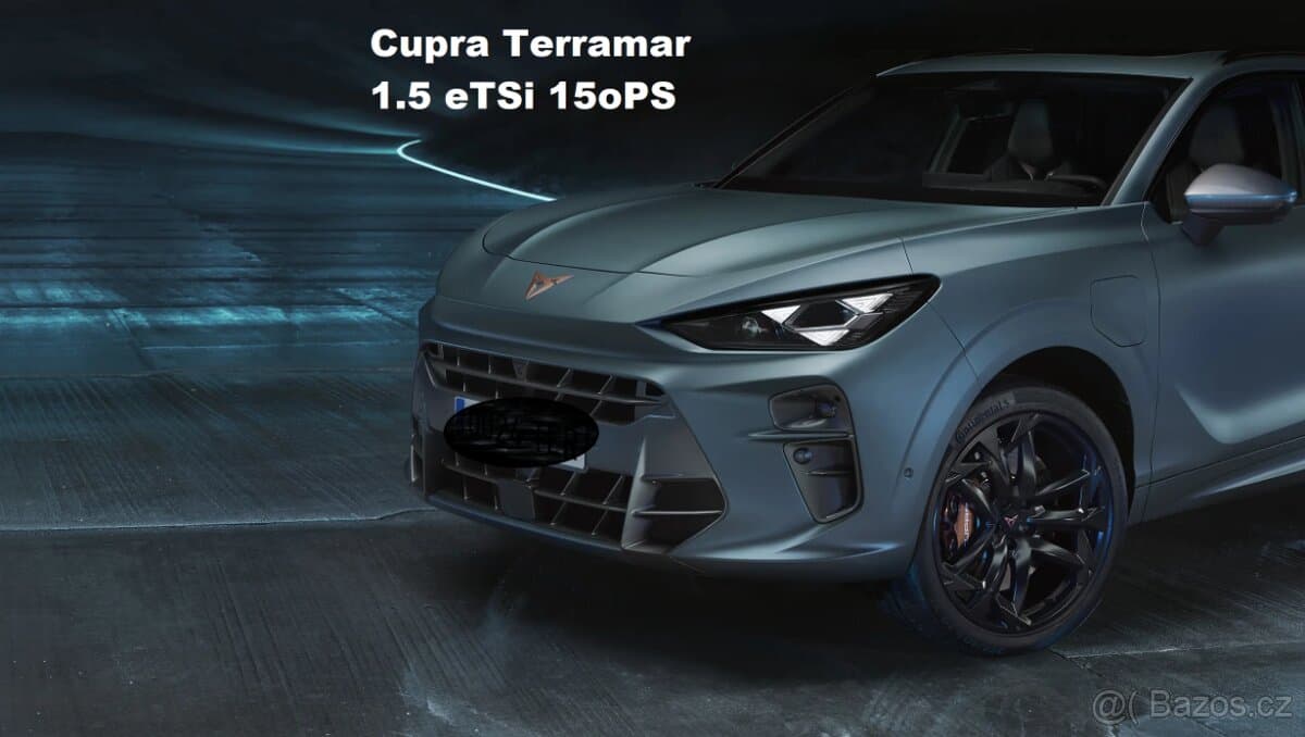 Cupra TERRAMAR - 2