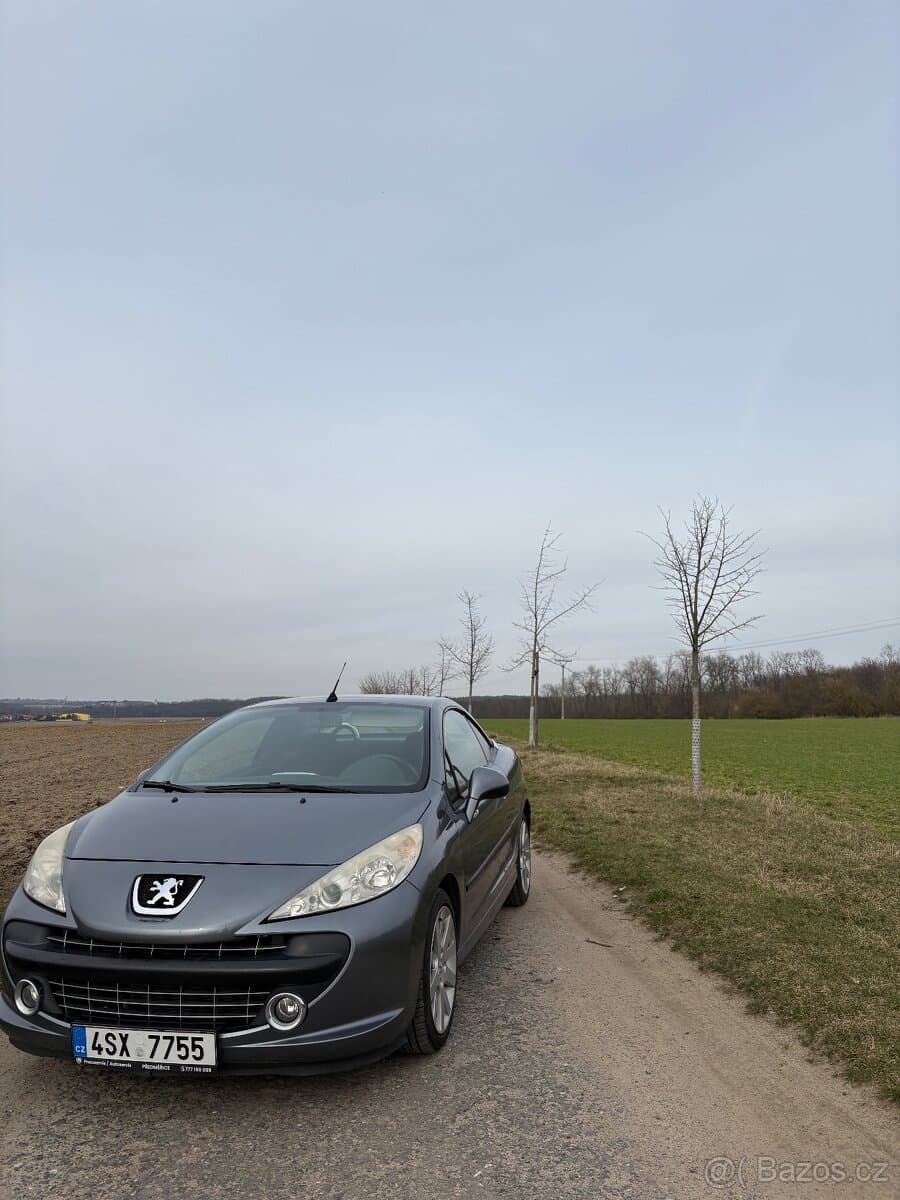 2007 Peugeot 207 - 2