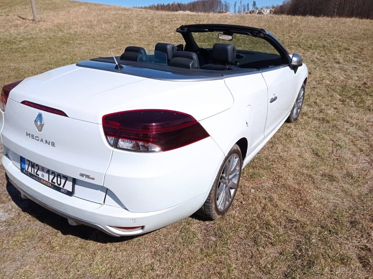 2014 Renault MEGANE - 20