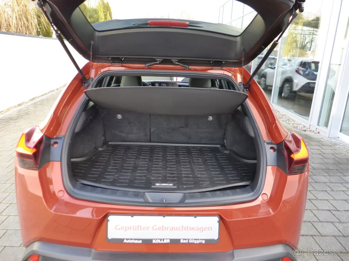 2019 Lexus UX - 20