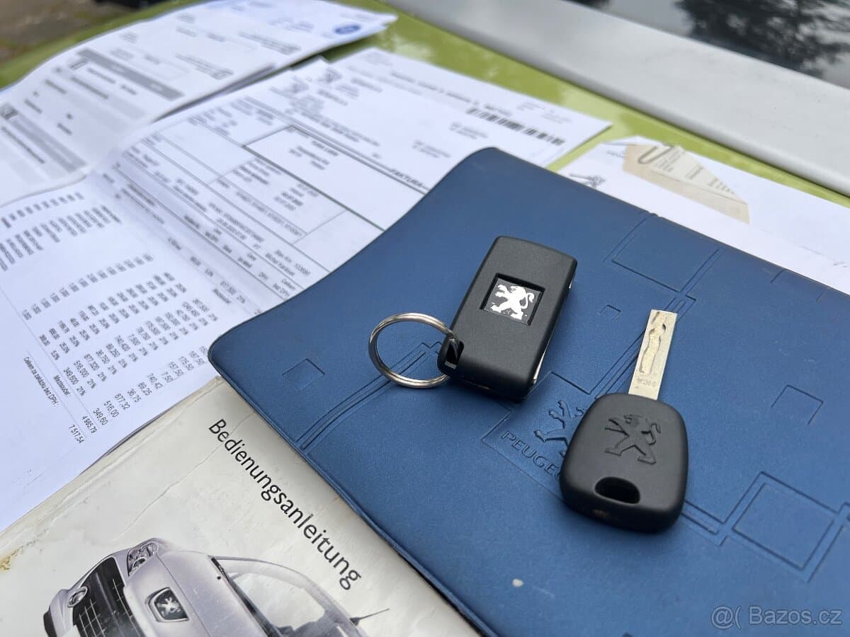 2007 Peugeot 207 - 20