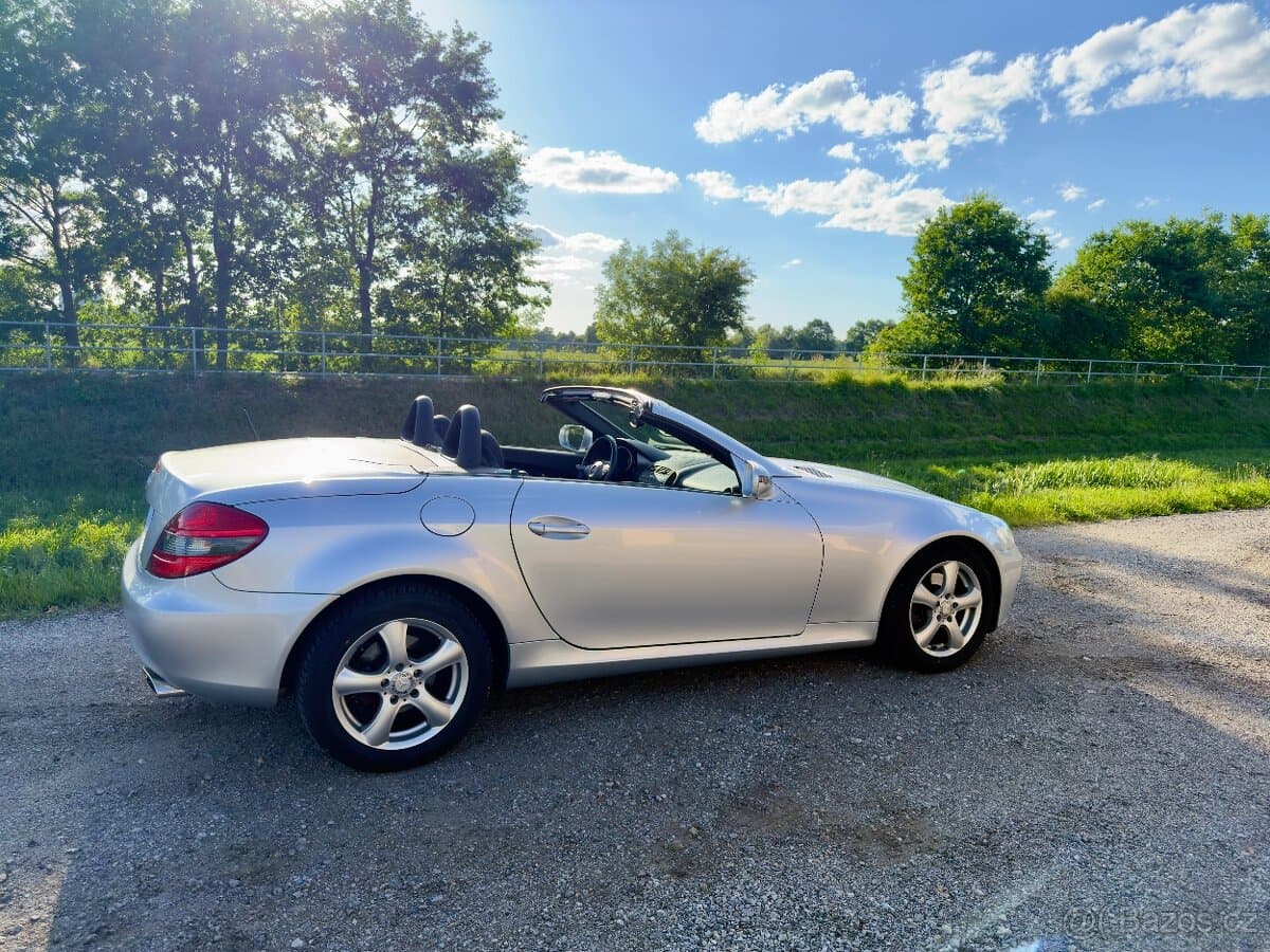 2010 Mercedes-Benz OSTATNÍ - 3