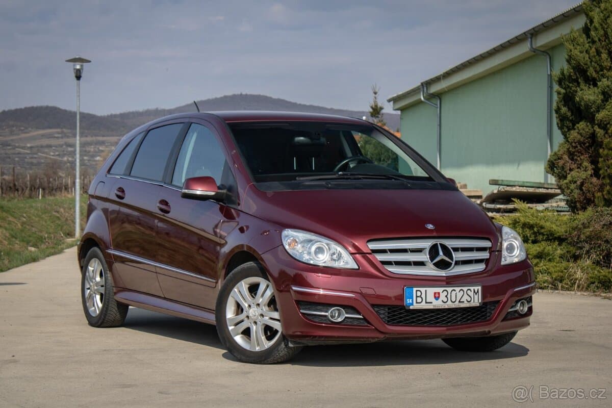 2010 Mercedes-Benz OSTATNÍ - 3