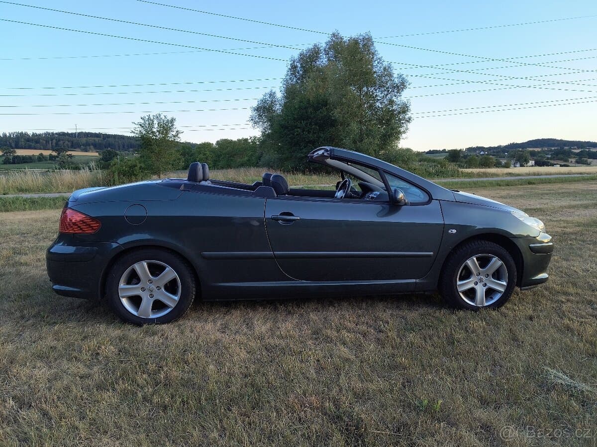 Peugeot 307 - 3