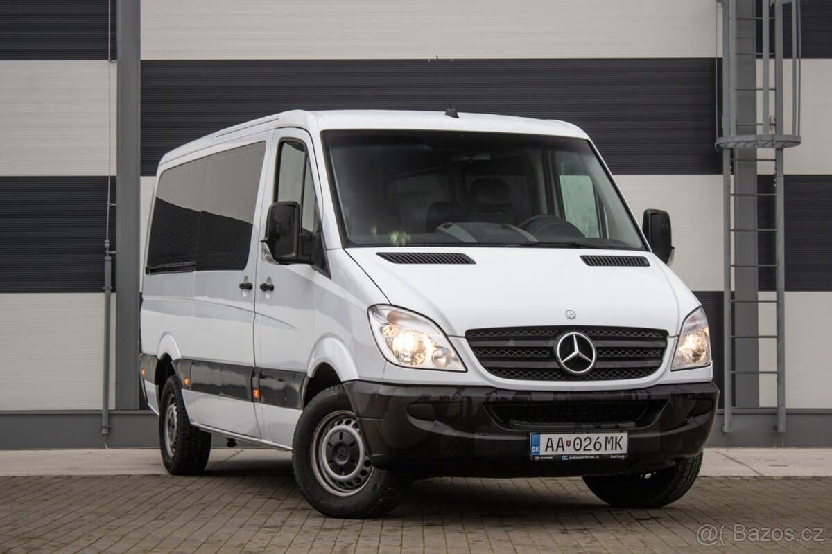 2010 Mercedes-Benz SPRINTER - 3