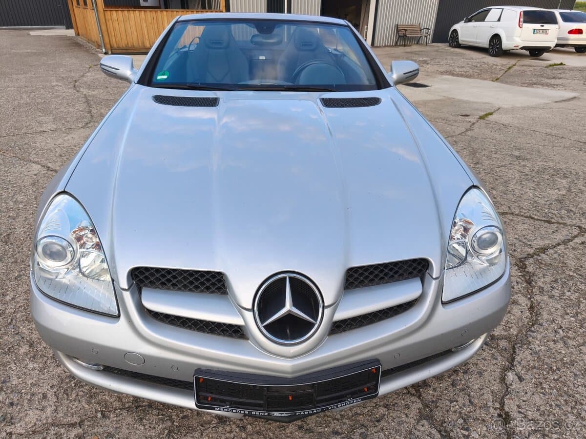 2010 Mercedes-Benz OSTATNÍ - 3
