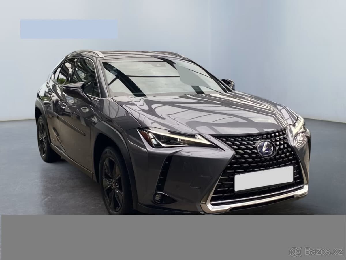 2019 Lexus UX - 3