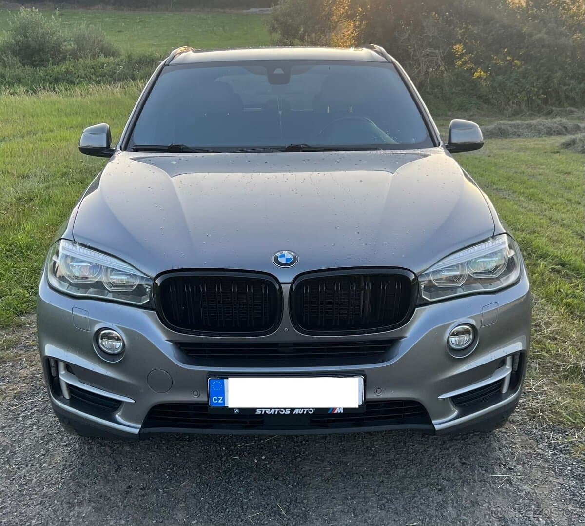 2017 BMW X5 - 3